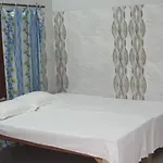 Tripathi Paying Guest House