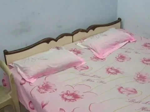 Tripathi Paying Guest House